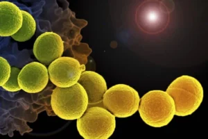 الالتهابات البكتيرية والفيروسية لصحة أفضل