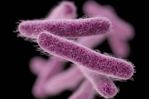 7 أمراض ناجمة عن البكتيريا