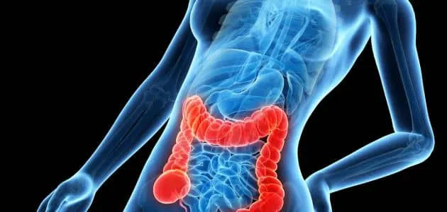 نصائح لمرضى القولون العصبي