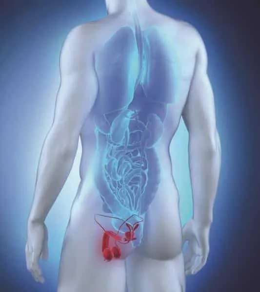 أعراض سرطان البروستاتا وطرق علاجه