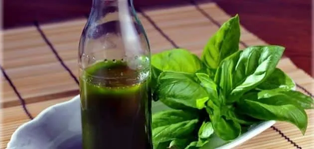 زيت شجرة الشاي وفوائده للشعر