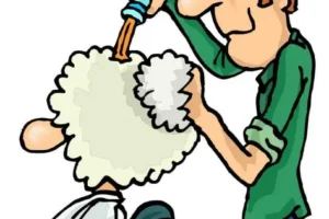 الشامبو وأضراره على الشعر , نصائح لشعر صحي