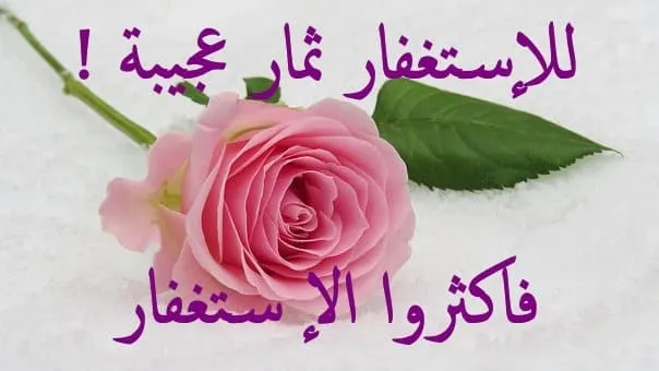 عجائب الاستغفار