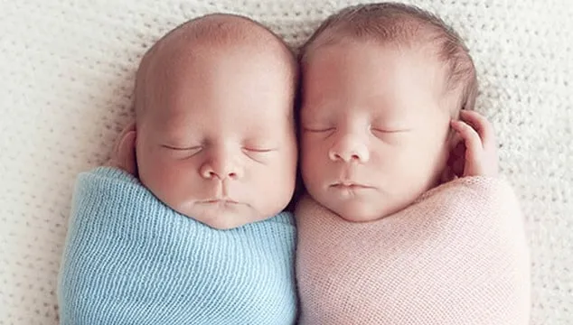 الحمل في توأم