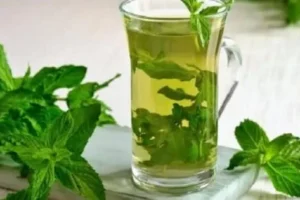 فوائد النعناع للحامل