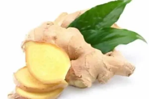 فوائد مشروب الزنجبيل للحوامل