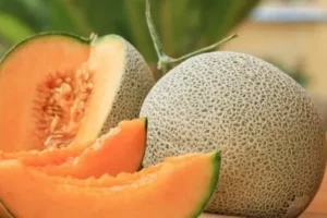 فاكهة الشمام فوائد غنية