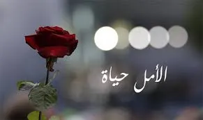 أجمل عبارات عن الأمل