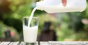 التزام الحليب