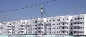 التزام الضحى