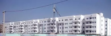 التزام الضحى