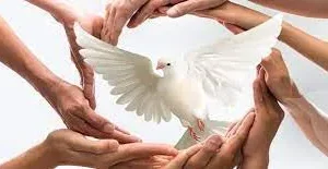 اجمل العبارات عن التسامح