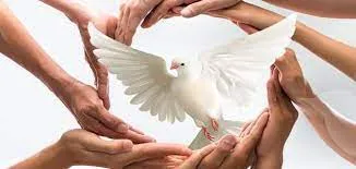 اجمل العبارات عن التسامح