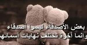 اجمل العبارات عن الصداقة