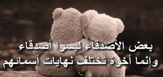 اجمل العبارات عن الصداقة