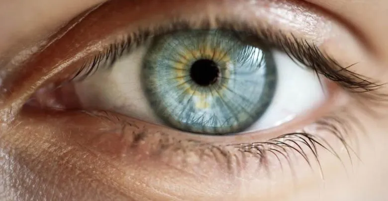 الحسد في القران