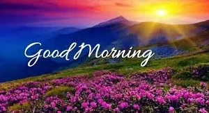 صباح السعاده بالانجليزي