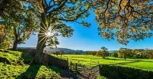 عبارات صباحية ايجابية