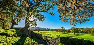 عبارات صباحية ايجابية