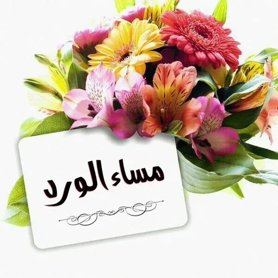 مساء الخير