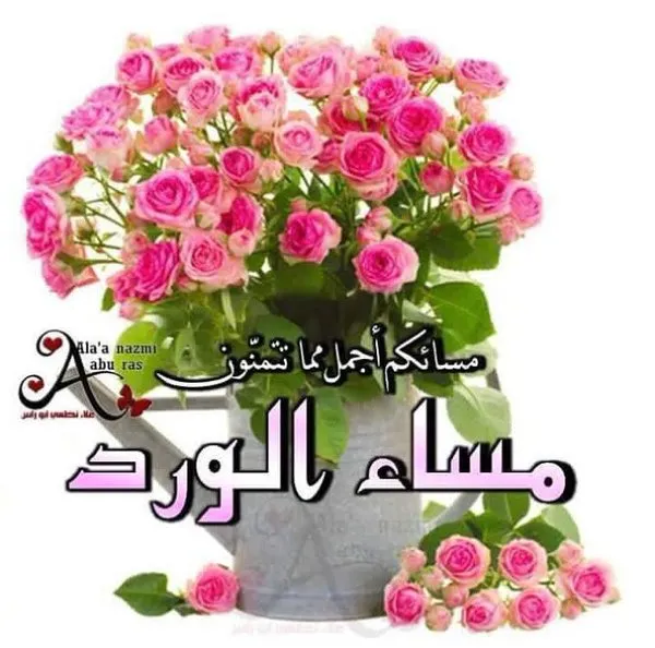مساء الخير