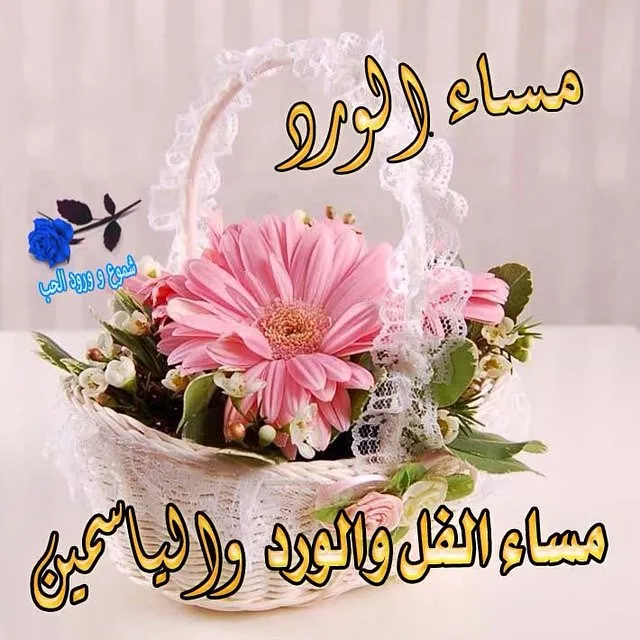 مساء الخير